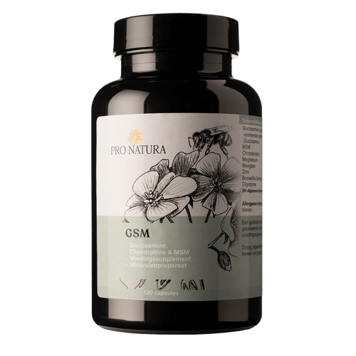 GSM Glucosamine Chondroitine MSM 120 capsules voor gewrichten en bindweefsel ProNatura