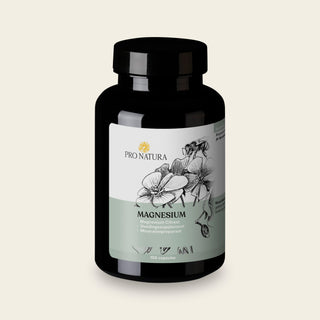 Magnesium Citraat 100 capsules