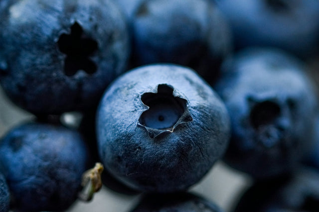 Close-up van verse blauwe bosbessen