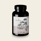 Bijenpollen 500 mg van Pro Natura, grote pot met 240 tabletten puur bijenpollenpoeder