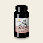 Geheugen van Pro Natura, pot met 50 capsules met Alpha-GPC choline en ginkgo biloba