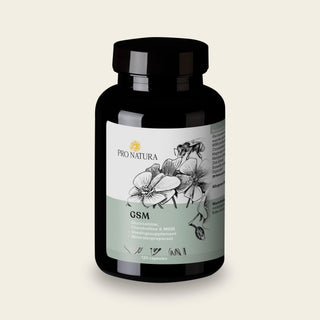 GSM van Pro Natura, pot met 120 capsules glucosamine, chondroïtine en MSM