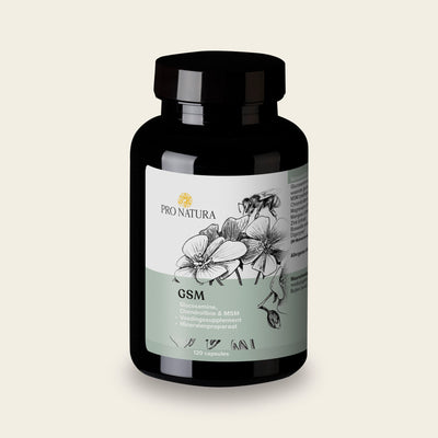 GSM van Pro Natura, pot met 120 capsules glucosamine, chondroïtine en MSM