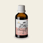 Luchtwegen kruidendruppels 50 ml van Pro Natura met zonnehoed, vlier, tijm en salie