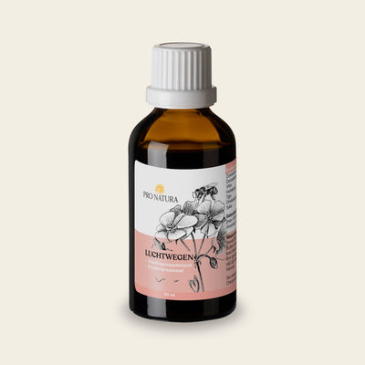 Luchtwegen kruidendruppels 50 ml van Pro Natura met zonnehoed, vlier, tijm en salie