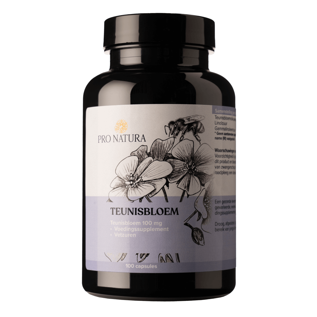 Teunisbloem_DSC06895